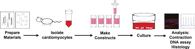 figure-protocol-22263