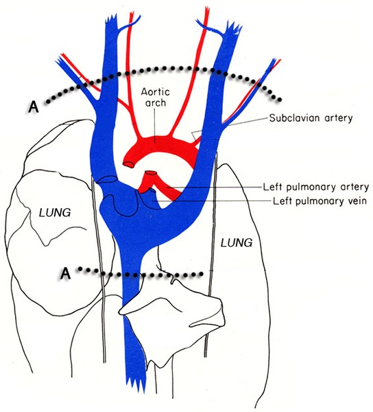figure-protocol-17735