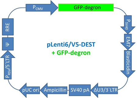 figure-protocol-11561