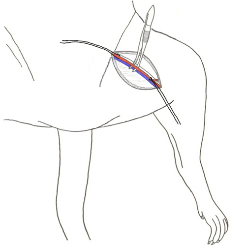 figure-protocol-13796