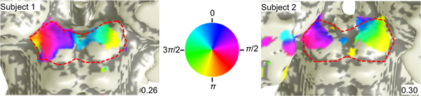 figure-protocol-7262