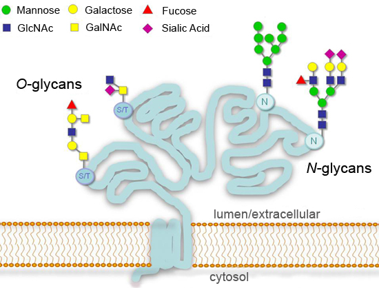 figure-protocol-10193
