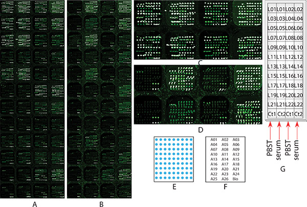 figure-protocol-25227