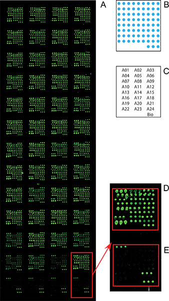 figure-protocol-26481