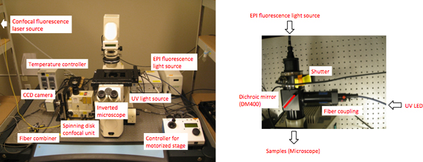 figure-protocol-5754
