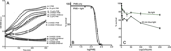 figure-protocol-14649