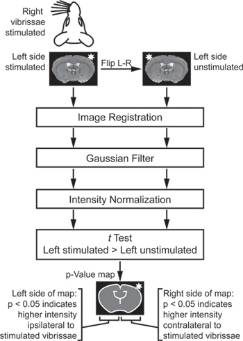 figure-protocol-5974