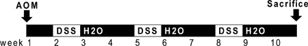 figure-protocol-10539