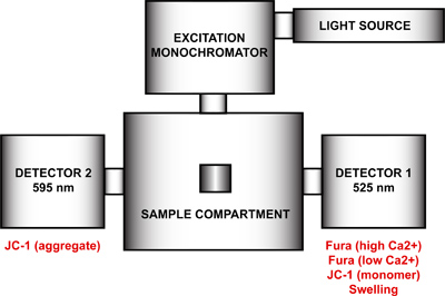 figure-protocol-14095