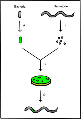 figure-protocol-15408
