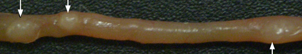figure-results-4052