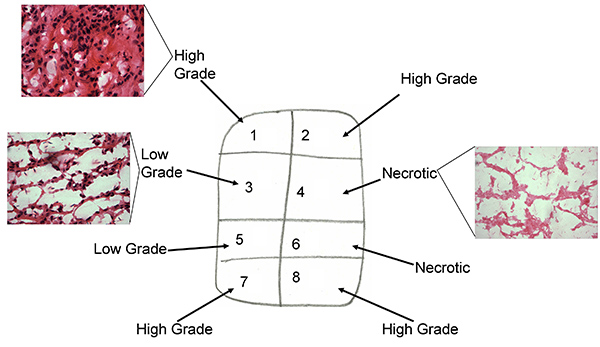 figure-results-2491