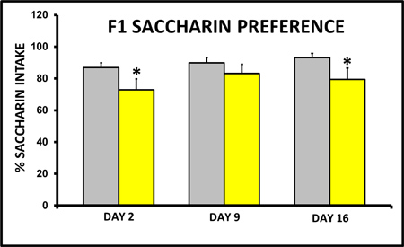 figure-results-6724