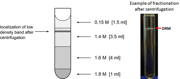 figure-results-6567