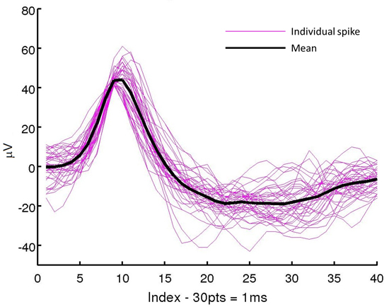 figure-results-12033