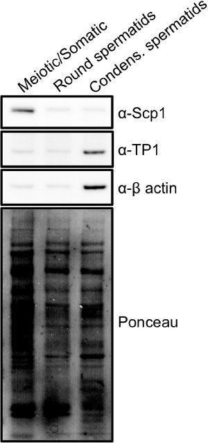 figure-results-5102