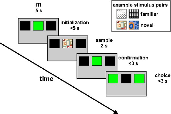 figure-protocol-12132