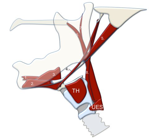 figure-results-2945