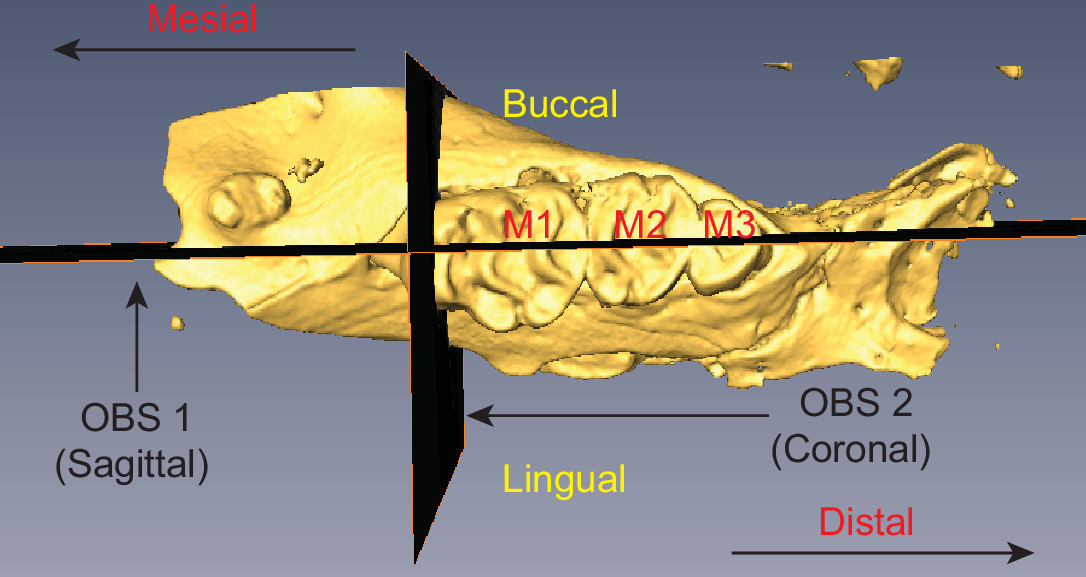 figure-results-4547