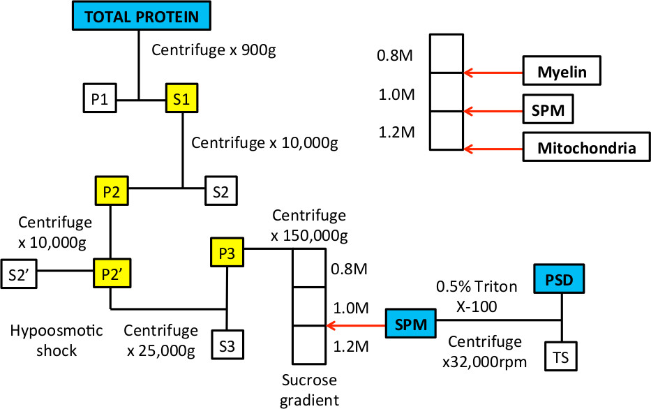 figure-results-2525