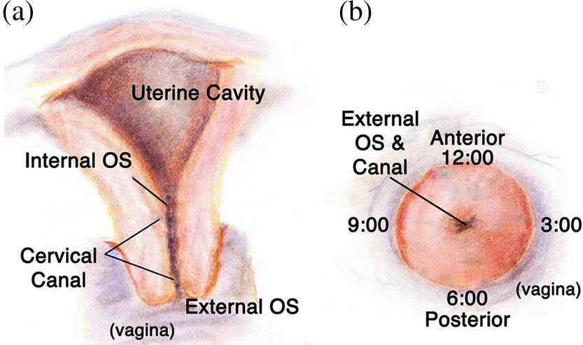 figure-results-4565