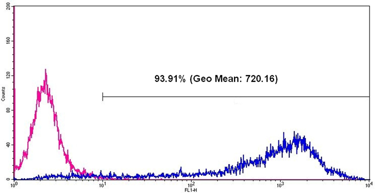 figure-results-4088