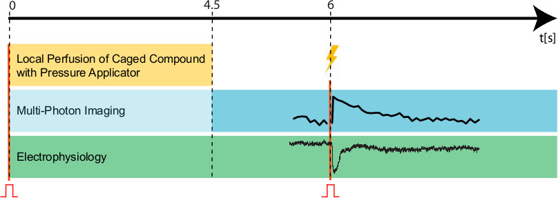 figure-protocol-16839