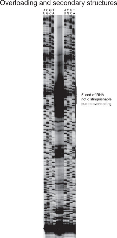 figure-results-5105