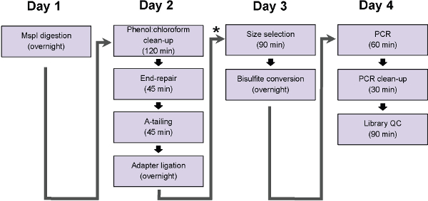 figure-results-5335