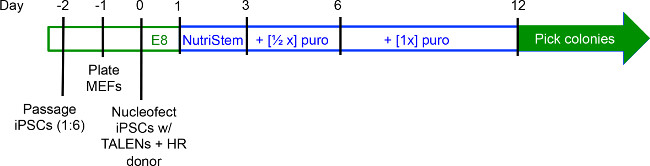 figure-results-2215