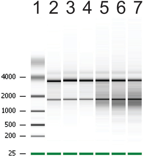 figure-results-2760