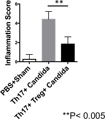 figure-results-11548