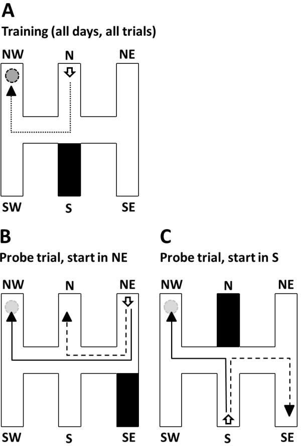 figure-results-19682