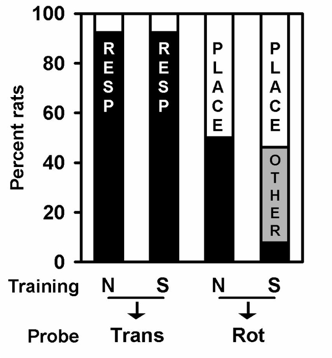 figure-results-20921