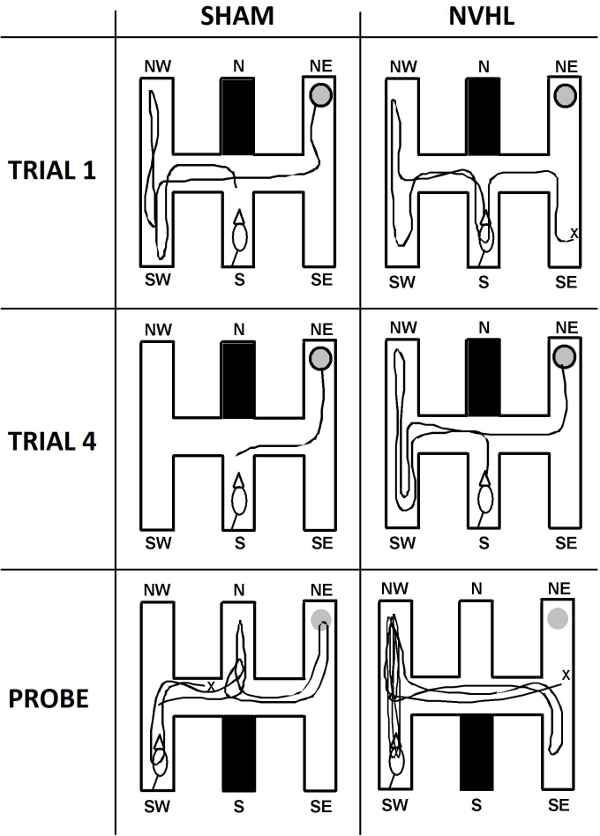 figure-results-25333