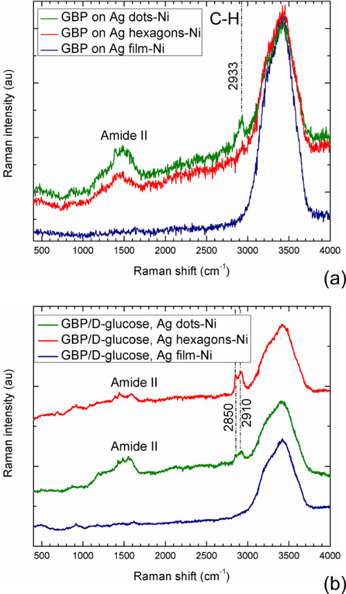 Raman spectroscopy graph of GBP variations on Ag-Ni surfaces showing peaks for C-H and amide II bands.