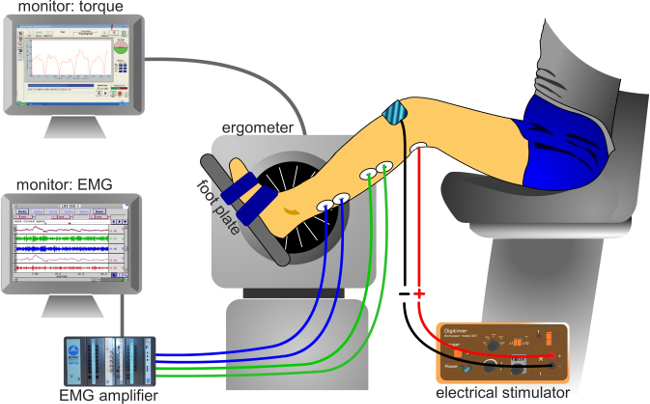 figure-protocol-3380