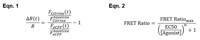 figure-protocol-35081