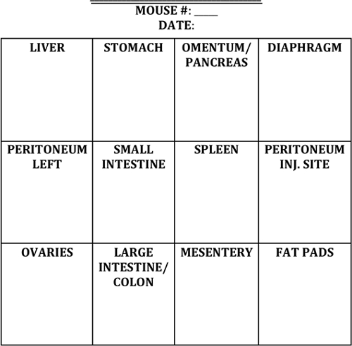 figure-results-2825