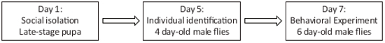 figure-protocol-530