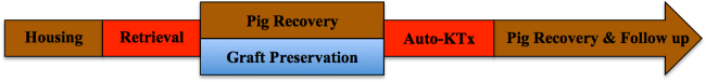 figure-protocol-596