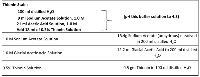 figure-results-14658
