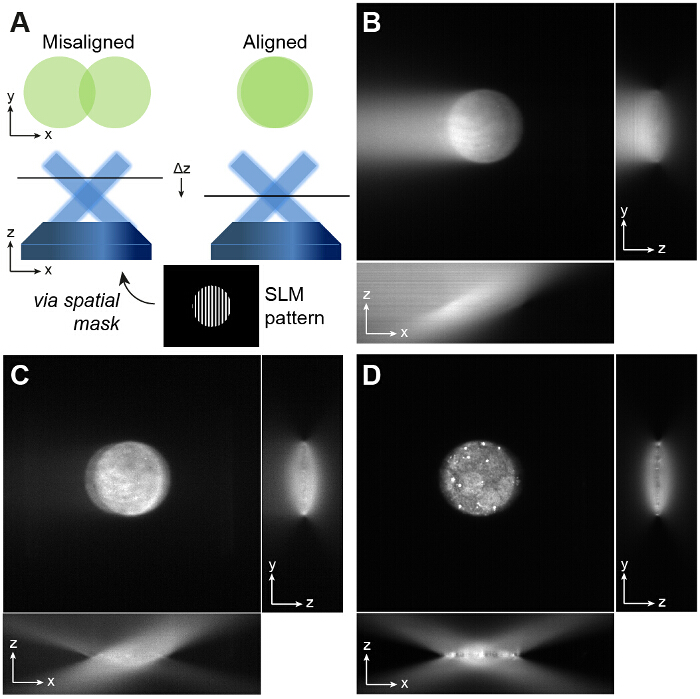 Static alignment concept with spatial light modulator pattern in microscopy; XYZ axis diagrams, images.