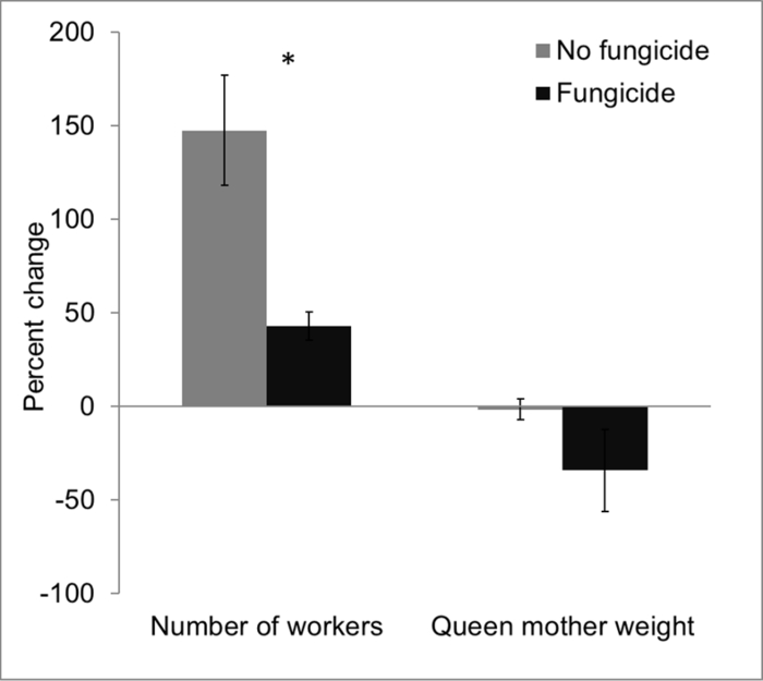 figure-results-8544