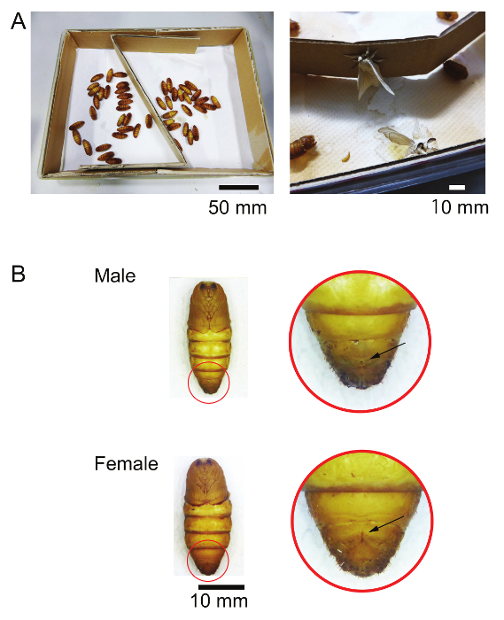 figure-results-3946