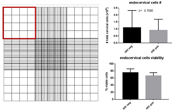 figure-results-2239