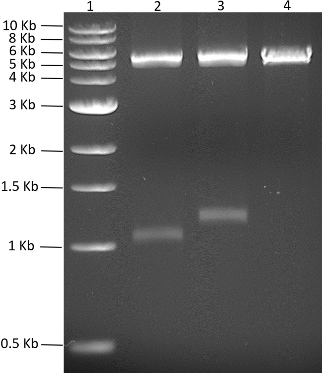 figure-results-1891