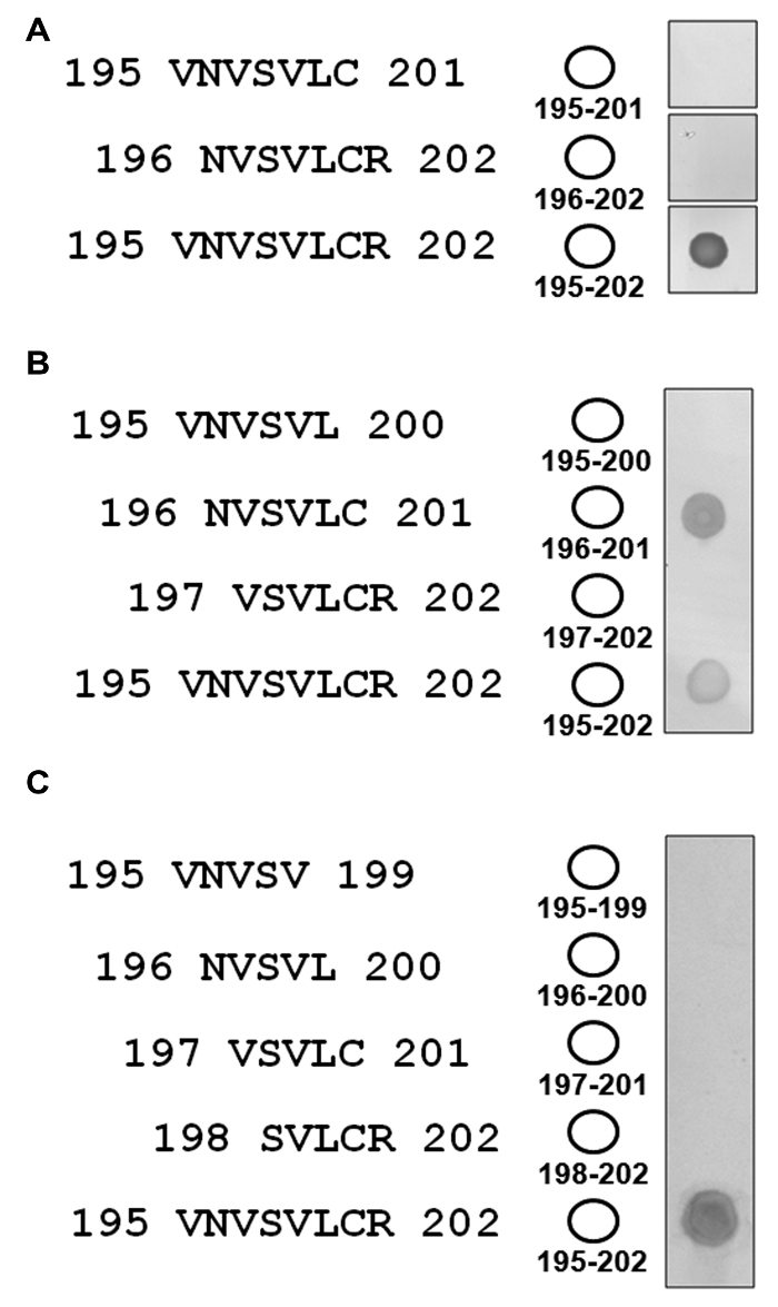figure-results-8212
