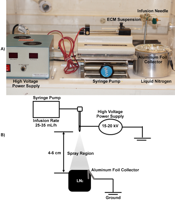 figure-protocol-5889