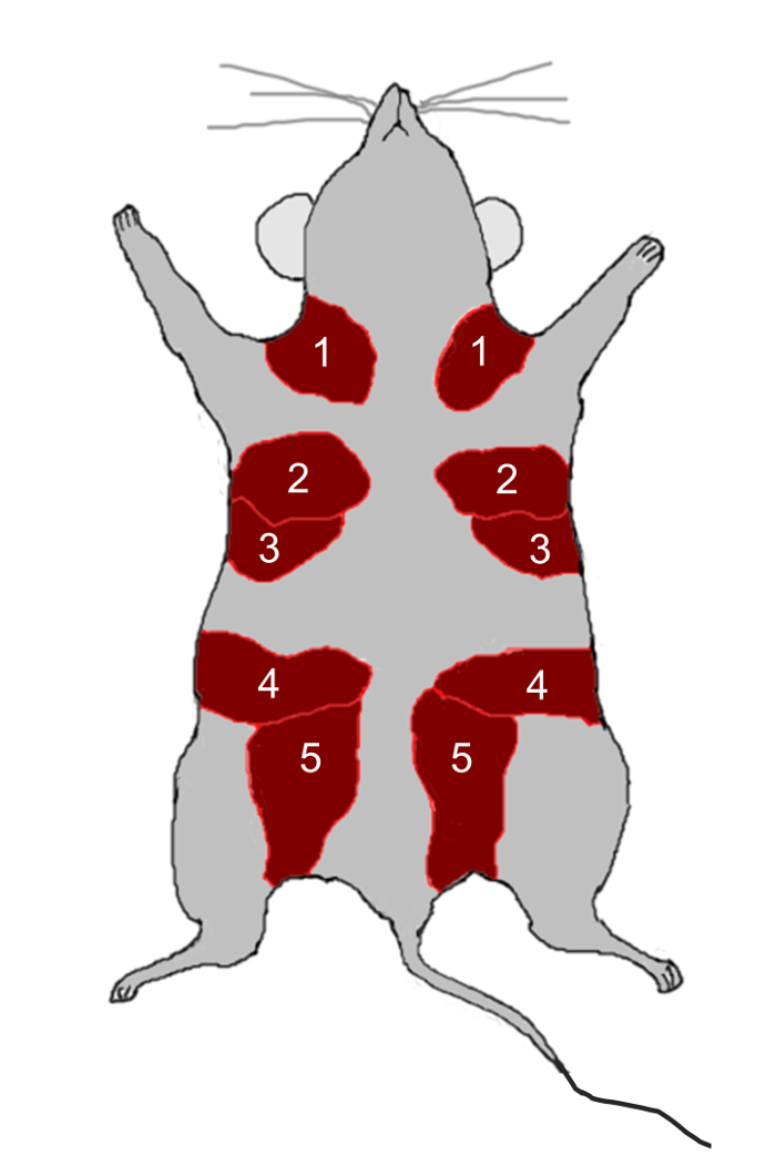 figure-results-8233